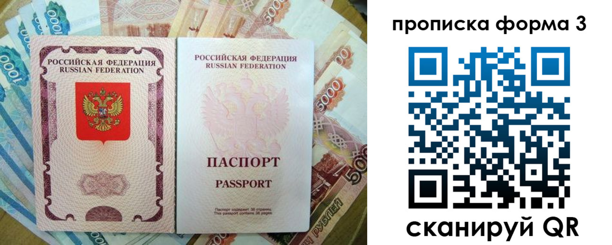 пропишу в квартире в Санкт-Петербурге
